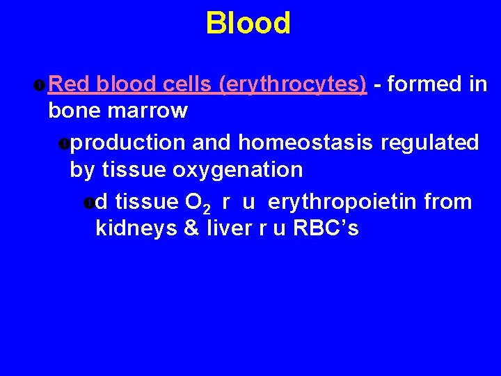 Blood Red blood cells (erythrocytes) - formed in bone marrow production and homeostasis regulated