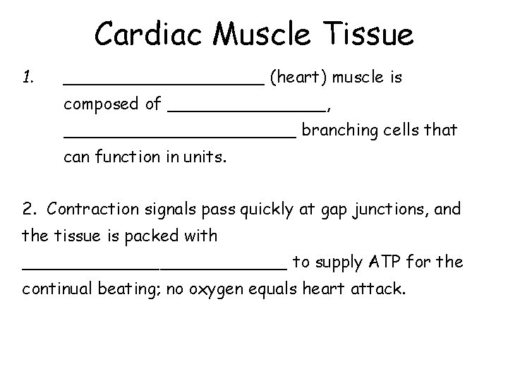 Cardiac Muscle Tissue 1. __________ (heart) muscle is composed of ________, ___________ branching cells Cardiac Muscle Tissue 1. __________ (heart) muscle is composed of ________, ___________ branching cells