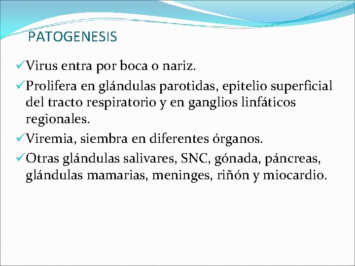 PATOGENESIS üVirus entra por boca o nariz. üProlifera en glándulas parotidas, epitelio superficial del