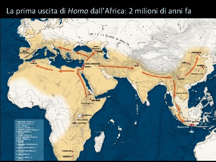 La prima uscita di Homo dall’Africa: 2 milioni di anni fa 