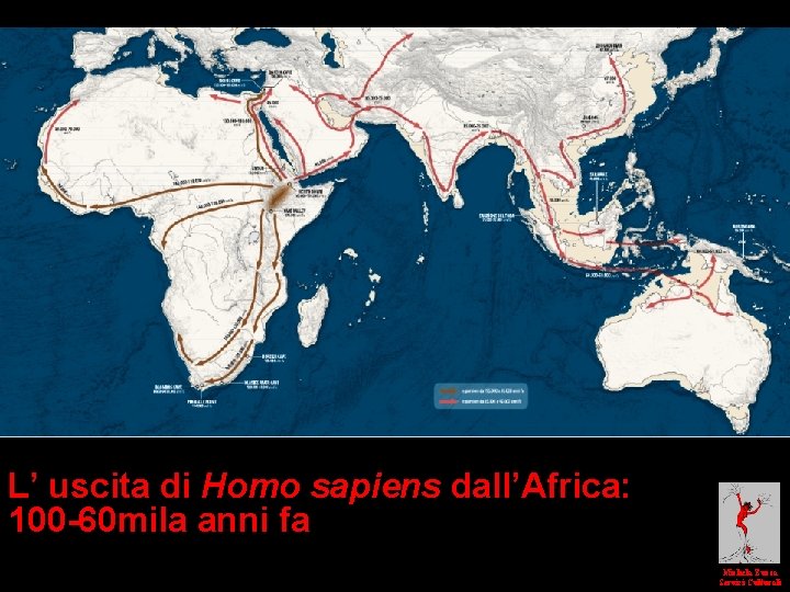 L’ uscita di Homo sapiens dall’Africa: 100 -60 mila anni fa Michela Zucca Servizi