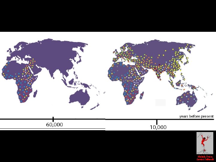 Michela Zucca Servizi Culturali 