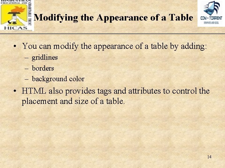 Modifying the Appearance of a Table XP • You can modify the appearance of