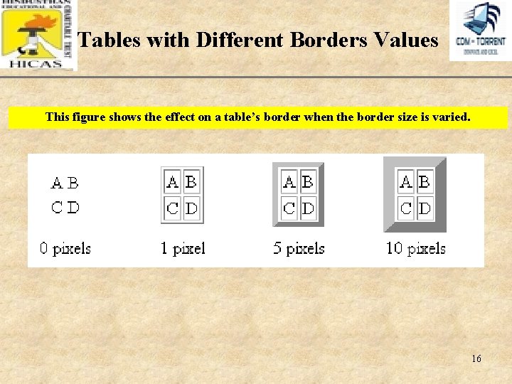 Tables with Different Borders Values XP This figure shows the effect on a table’s