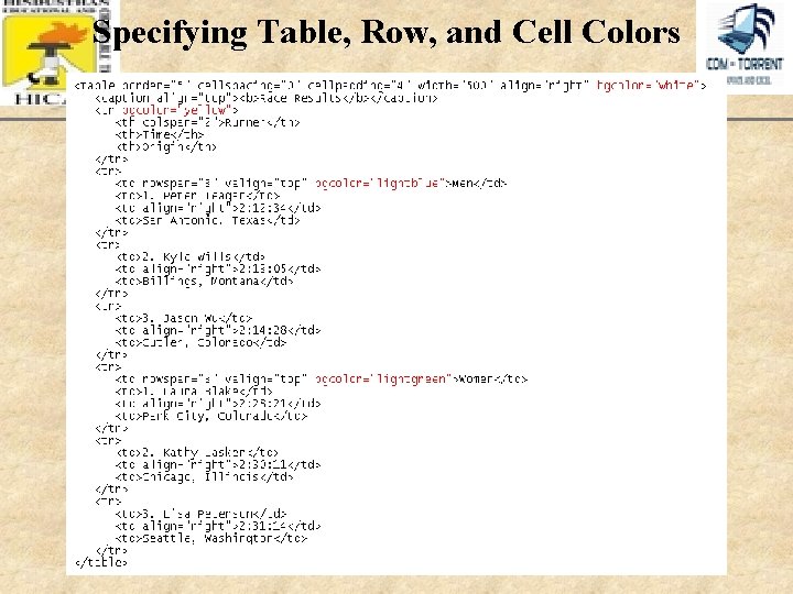 Specifying Table, Row, and Cell Colors XP 