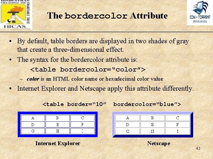 The bordercolor Attribute XP • By default, table borders are displayed in two shades