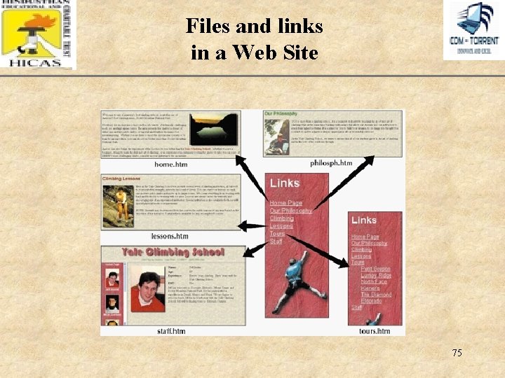 Files and links in a Web Site XP 75 