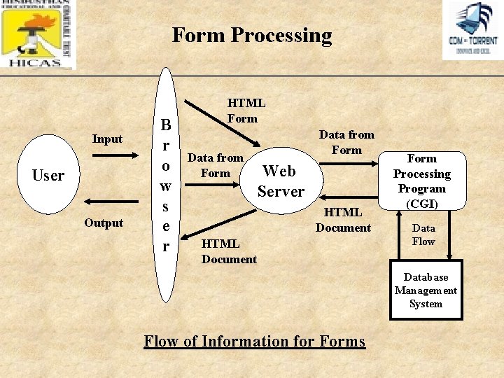 Form Processing Input User Output B r o w s e r XP HTML