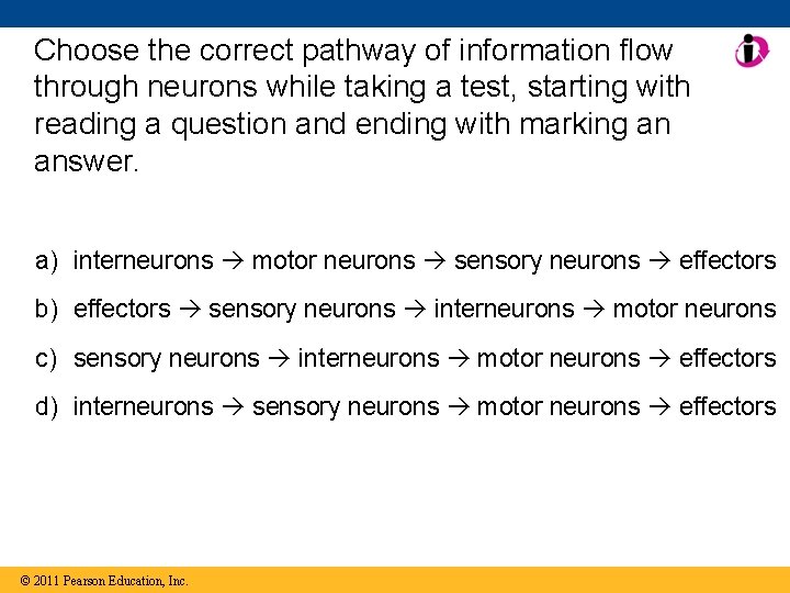 Choose the correct pathway of information flow through neurons while taking a test, starting