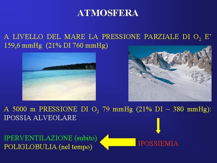 ATMOSFERA A LIVELLO DEL MARE LA PRESSIONE PARZIALE DI O 2 E’ 159, 6