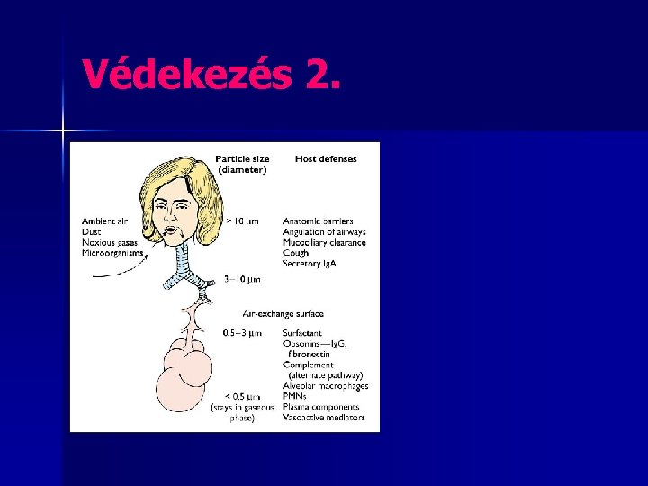 Védekezés 2. 