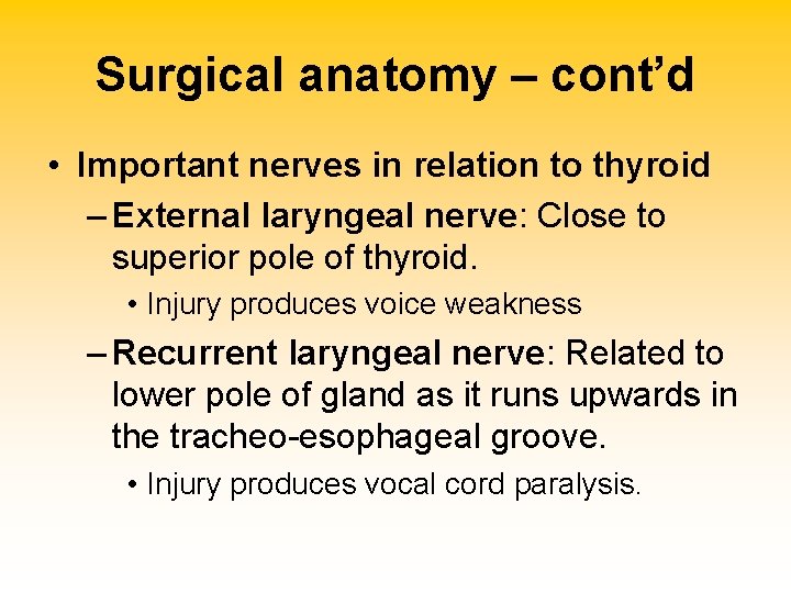 Surgical anatomy – cont’d • Important nerves in relation to thyroid – External laryngeal