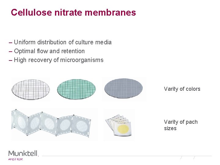 Cellulose nitrate membranes – Uniform distribution of culture media – Optimal flow and retention