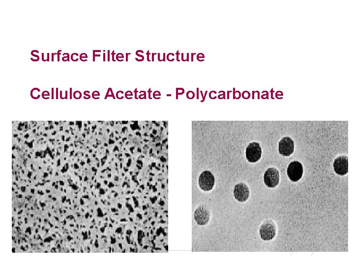 Surface Filter Structure Cellulose Acetate - Polycarbonate 