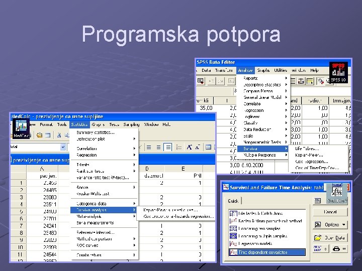 Programska potpora 