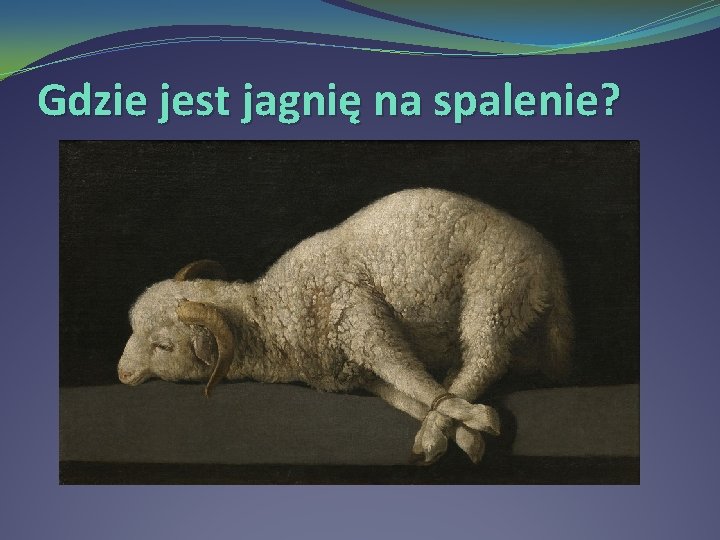 Gdzie jest jagnię na spalenie? 