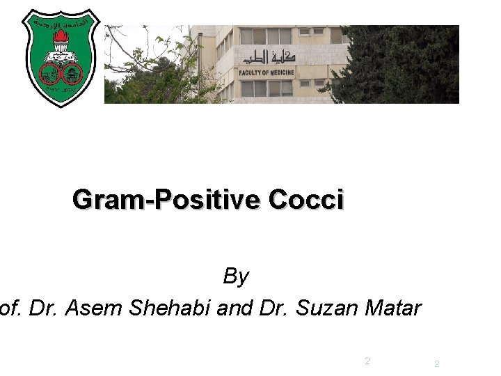Gram-Positive Cocci By of. Dr. Asem Shehabi and Dr. Suzan Matar 2 2 