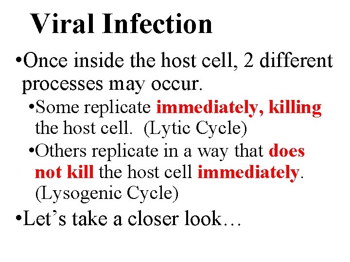 Viral Infection • Once inside the host cell, 2 different processes may occur. •