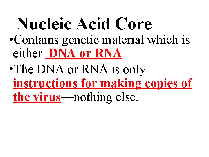 Nucleic Acid Core • Contains genetic material which is either DNA or RNA •