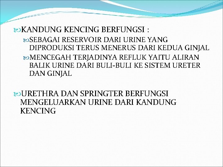  KANDUNG KENCING BERFUNGSI : SEBAGAI RESERVOIR DARI URINE YANG DIPRODUKSI TERUS MENERUS DARI