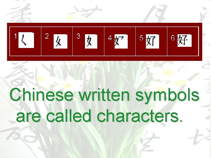 Chinese written symbols are called characters. 