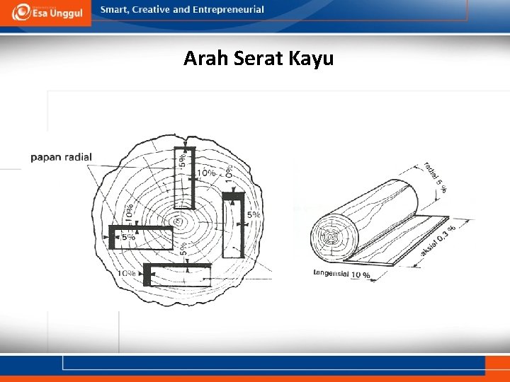 Arah Serat Kayu 