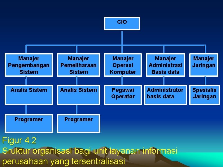 CIO Manajer Pengembangan Sistem Manajer Pemeliharaan Sistem Manajer Operasi Komputer Manajer Administrasi Basis data