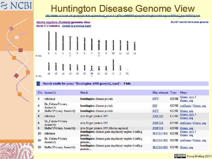 Huntington Disease Genome View http: //www. ncbi. nlm. nih. gov/projects/mapview/map_search. cgi? taxid=9606&query=Huntington+AND+gene%5 Bobj_type%5 D&qchr=