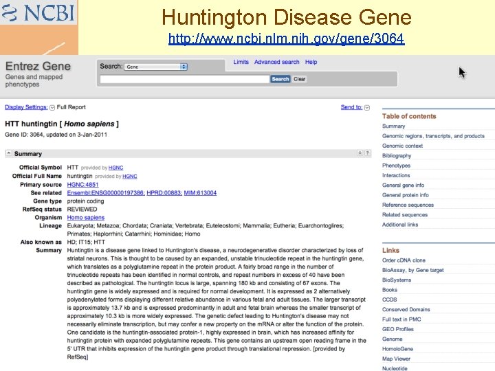 Huntington Disease Gene http: //www. ncbi. nlm. nih. gov/gene/3064 Doug Brutlag 2011 