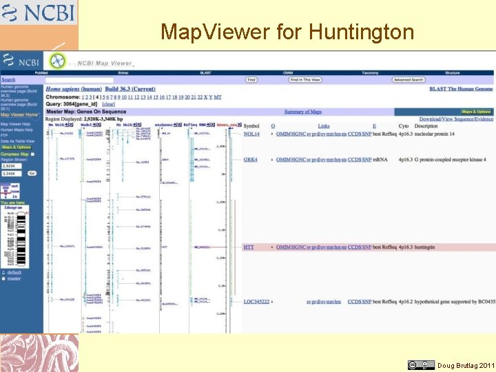 Map. Viewer for Huntington Doug Brutlag 2011 