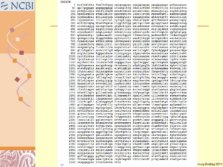 Huntingtin Protein http: //www. ncbi. nlm. nih. gov/protein/NP_002102. 4 Doug Brutlag 2011 