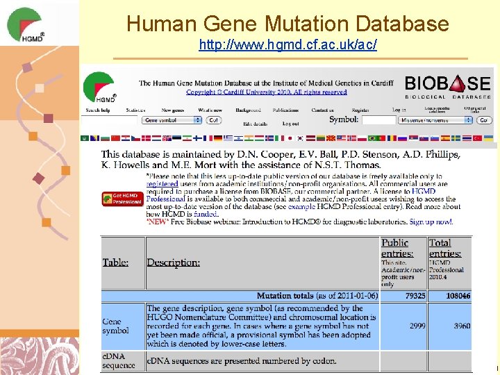 Human Gene Mutation Database http: //www. hgmd. cf. ac. uk/ac/ Doug Brutlag 2011 