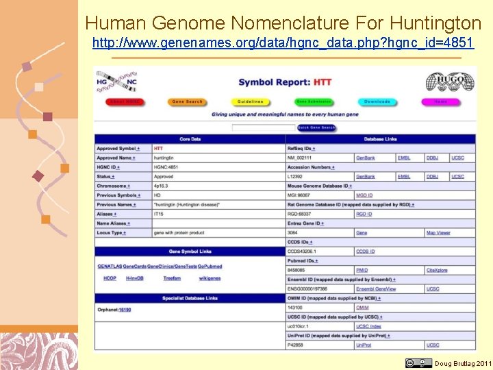 Human Genome Nomenclature For Huntington http: //www. genenames. org/data/hgnc_data. php? hgnc_id=4851 Doug Brutlag 2011