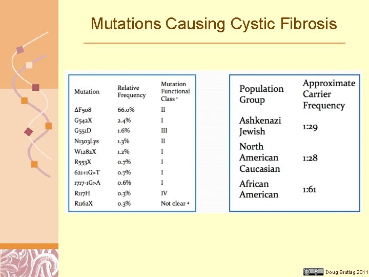 Mutations Causing Cystic Fibrosis Doug Brutlag 2011 