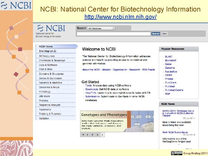 NCBI: National Center for Biotechnology Information http: //www. ncbi. nlm. nih. gov/ Doug Brutlag