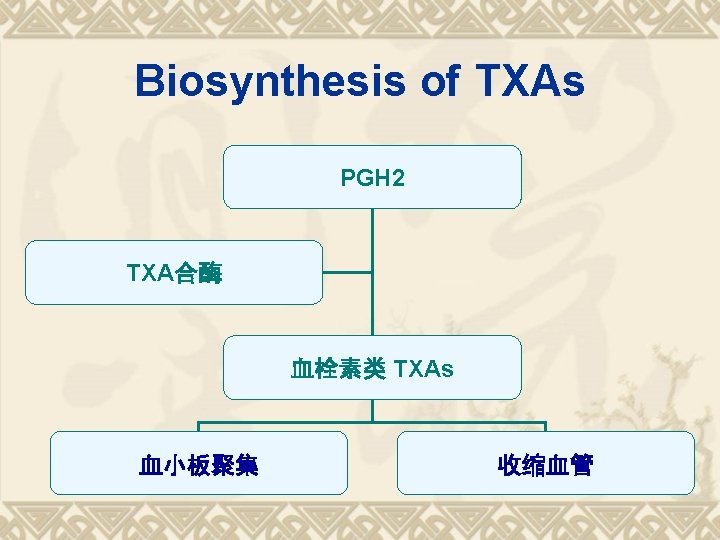 Biosynthesis of TXAs PGH 2 TXA合酶 血栓素类 TXAs 血小板聚集 收缩血管 