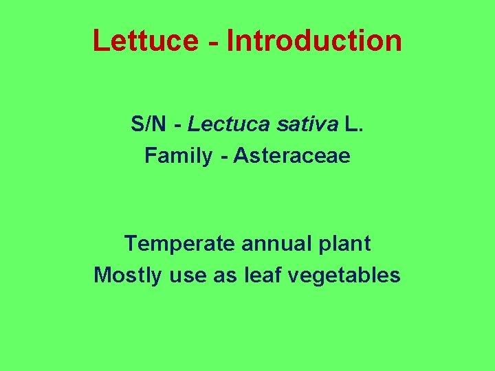Lettuce - Introduction S/N - Lectuca sativa L. Family - Asteraceae Temperate annual plant
