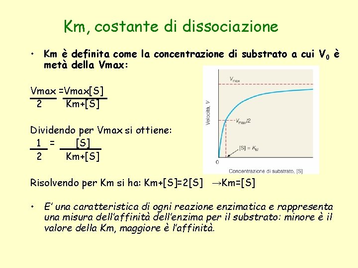 Km, costante di dissociazione • Km è definita come la concentrazione di substrato a