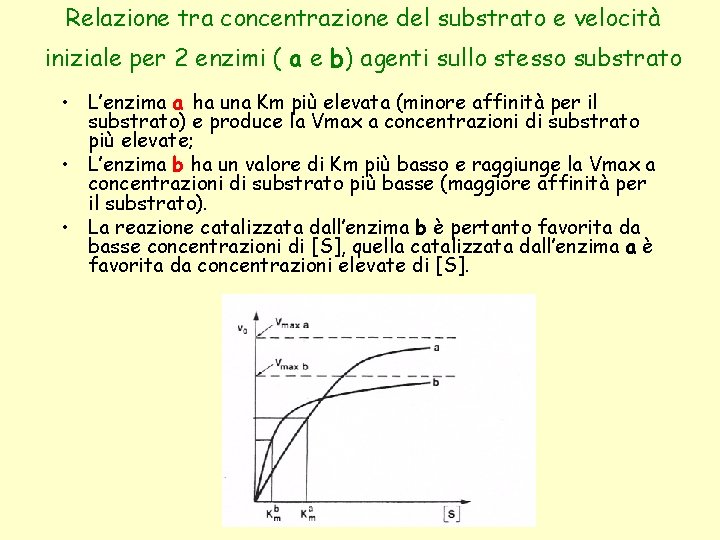 Relazione tra concentrazione del substrato e velocità iniziale per 2 enzimi ( a e