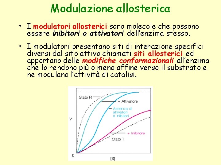 Modulazione allosterica • I modulatori allosterici sono molecole che possono essere inibitori o attivatori