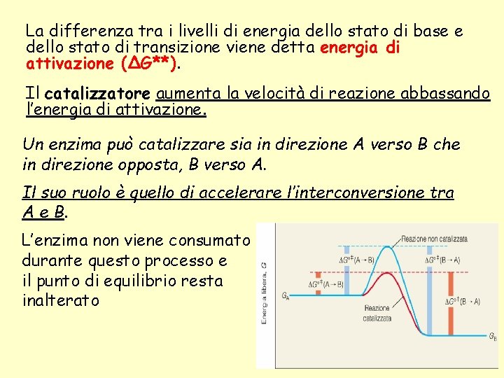 La differenza tra i livelli di energia dello stato di base e dello stato