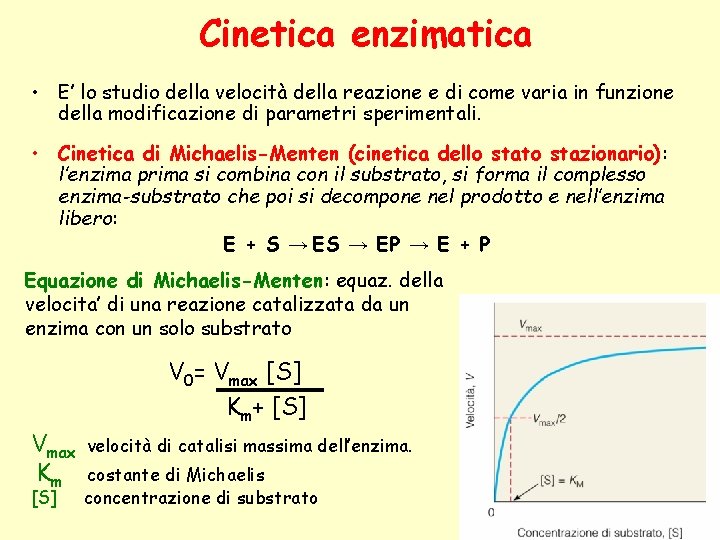 Cinetica enzimatica • E’ lo studio della velocità della reazione e di come varia