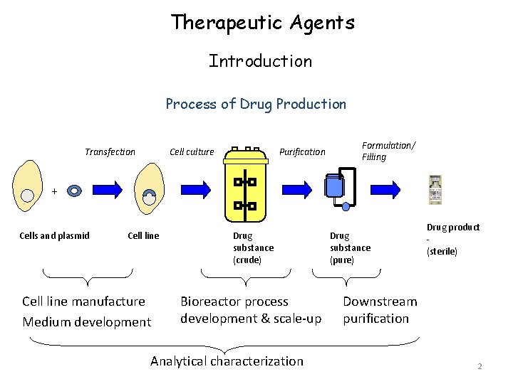 Therapeutic Agents Introduction Process of Drug Production Transfection Cell culture Purification Formulation/ Filling +