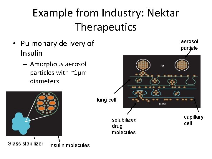 Example from Industry: Nektar Therapeutics • Pulmonary delivery of Insulin aerosol particle – Amorphous