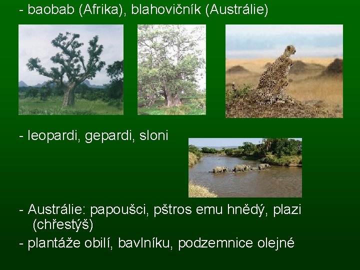 - baobab (Afrika), blahovičník (Austrálie) - leopardi, gepardi, sloni - Austrálie: papoušci, pštros emu