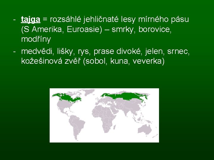 - tajga = rozsáhlé jehličnaté lesy mírného pásu (S Amerika, Euroasie) – smrky, borovice,