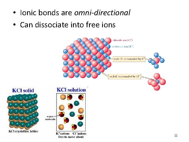  • Ionic bonds are omni-directional • Can dissociate into free ions 11 