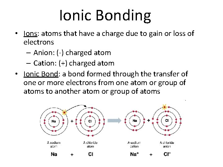 Ionic Bonding • Ions: atoms that have a charge due to gain or loss