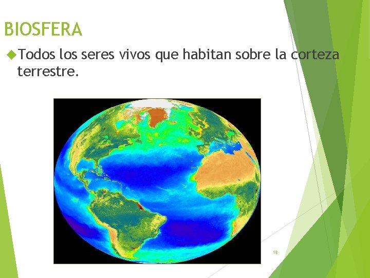 BIOSFERA Todos los seres vivos que habitan sobre la corteza terrestre. 18 