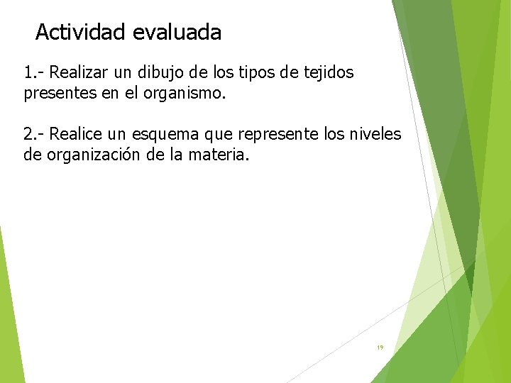 Actividad evaluada 1. - Realizar un dibujo de los tipos de tejidos presentes en